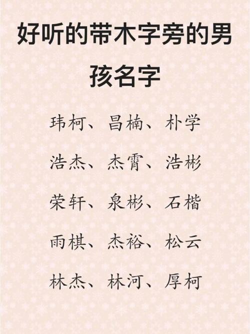 木字旁的男孩名字