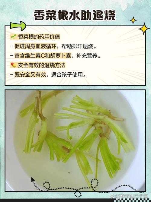 香菜煮水的功效 家人们有没有发现,作为厨房里常见的调味品,香菜居然