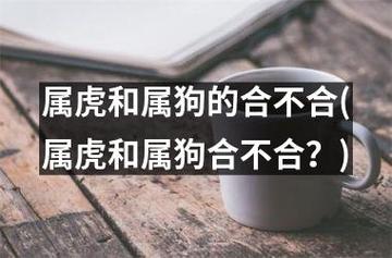 属虎和属狗的合不合(属虎和属狗合不合?