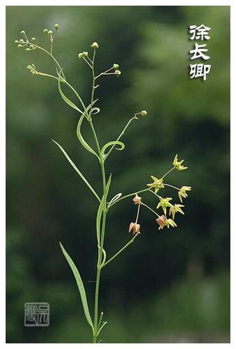 徐长卿|情海茫茫·十年一剑