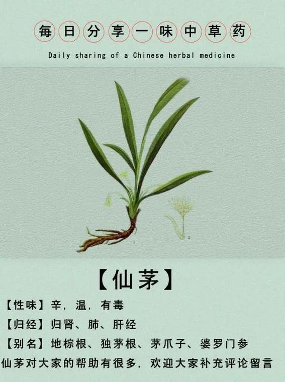 有认识这种植物的吗.#你的家乡有这种植物吗  #你能叫出它的 - 抖音