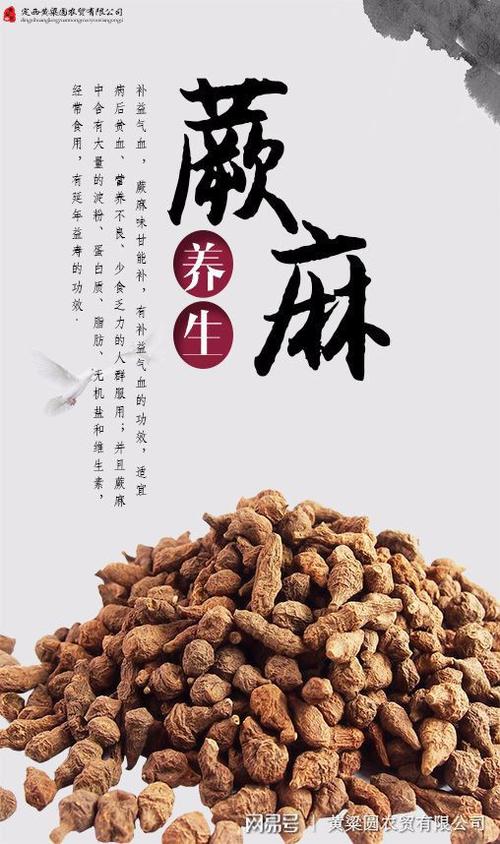 蕨麻的功效作用及食用方法