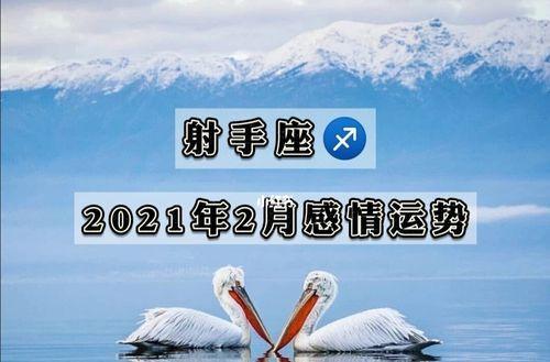 射手座运势,射手座2023年运势详解全年运程完整版图1