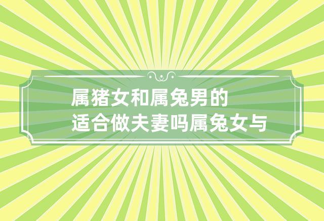 属猪女和属兔男的适合做夫妻吗 属兔女与属猪男婚姻合适吗