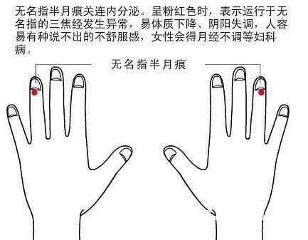 手相算命图解 女人手相图解 女人手相算命图解 各类掌纹支线图解 杂纹