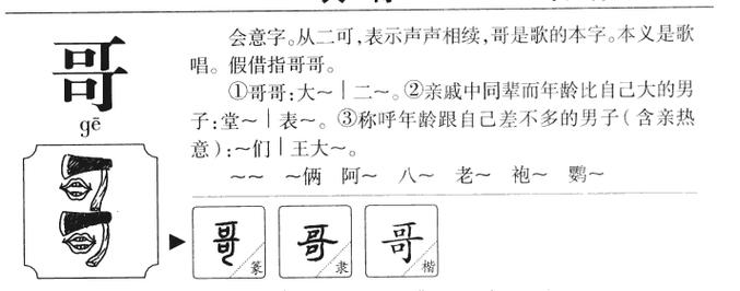 教八哥鸟学舌需要注意什么八哥鸟如何进行吃食训练(八哥起名字)