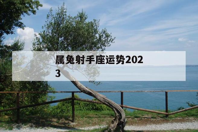 属兔射手座运势2023