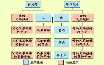 2023年直系亲属是指哪些直系亲属继承遗产顺序是怎样