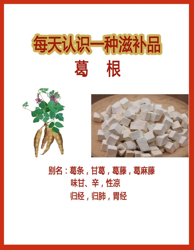 葛根粉功效与作用 葛根粉十大神奇功效