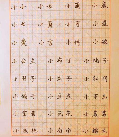 四个字小名起名字大全男(四个字小名起名字大全男孩)