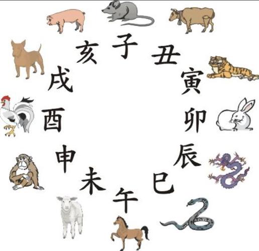 12生肖属什么最好命(地支生肖)