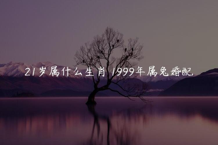 21岁属什么生肖1999年属兔婚配