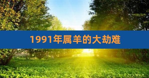 1991年属羊32岁后会大富大贵91年属羊人32岁(1991属羊一生三大劫难)