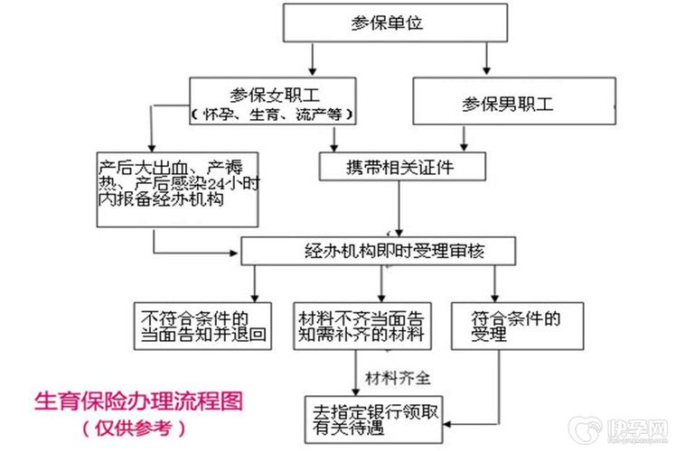 2023年最新生育险报销流程揭秘大公开