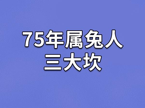 1,30岁75年属兔的人,本身的能力是非常卓越优秀的,但性格上容易过于