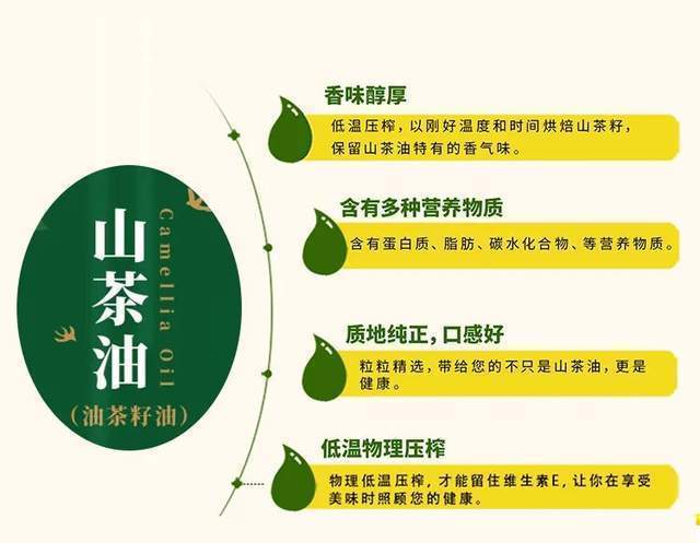 原来山茶油功效这么强_皮肤_食用_维生素