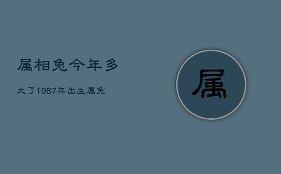 属相兔今年多大了1987年出生,生肖兔的今年几岁