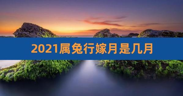 2023属兔行嫁月是几月