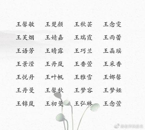 书瑶的女孩名字意思是什么