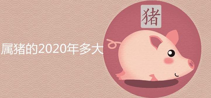 所以在不同的年份中我们的运势也是起伏变化着的,如属猪人在2023年