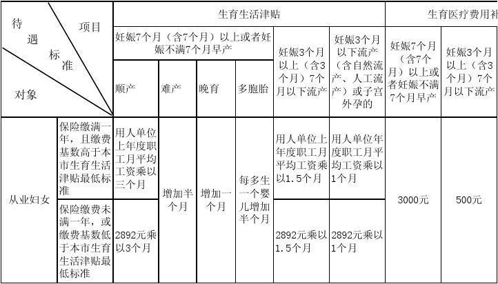 2023上海生育津贴