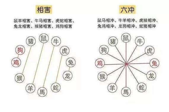 日期生肖相冲什么意思 日期生肖相冲什么意思啊