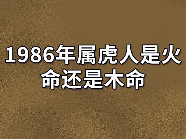 1986年属虎人是火命还是木命