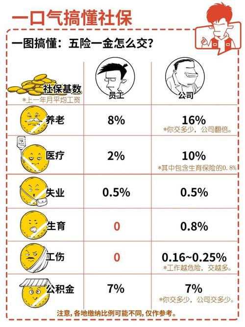 一口气搞懂社保!再也不怕白交钱