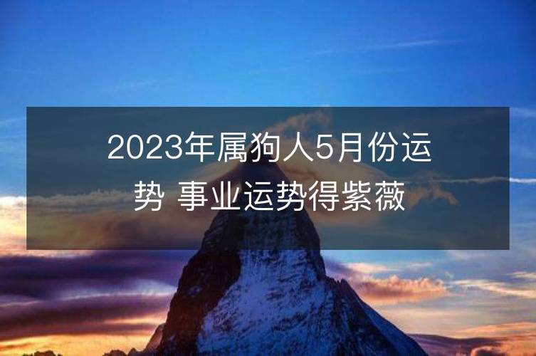 2023年属狗人5月份运势 事业运势得紫薇吉星助力