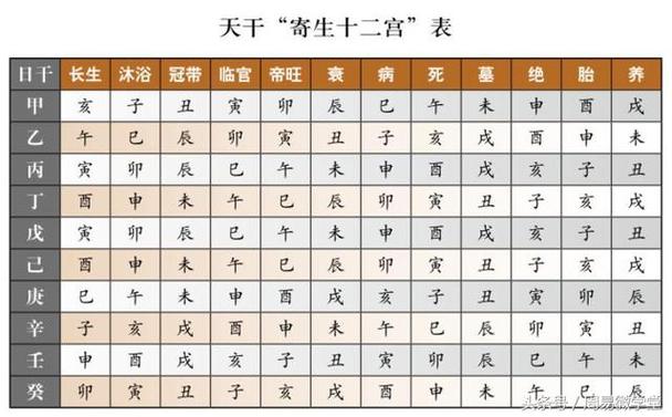 生辰八字的基本认识,图解阴阳,五行,天干地支等基础知识