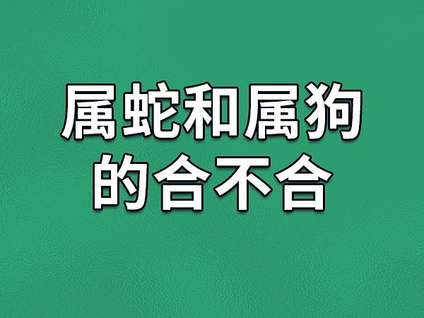 老话讲生肖蛇后半年不能犯的五个忌讳早知道早注意(属蛇与属狗)