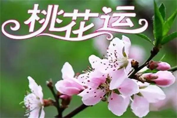 八字中走桃花运是什么意思