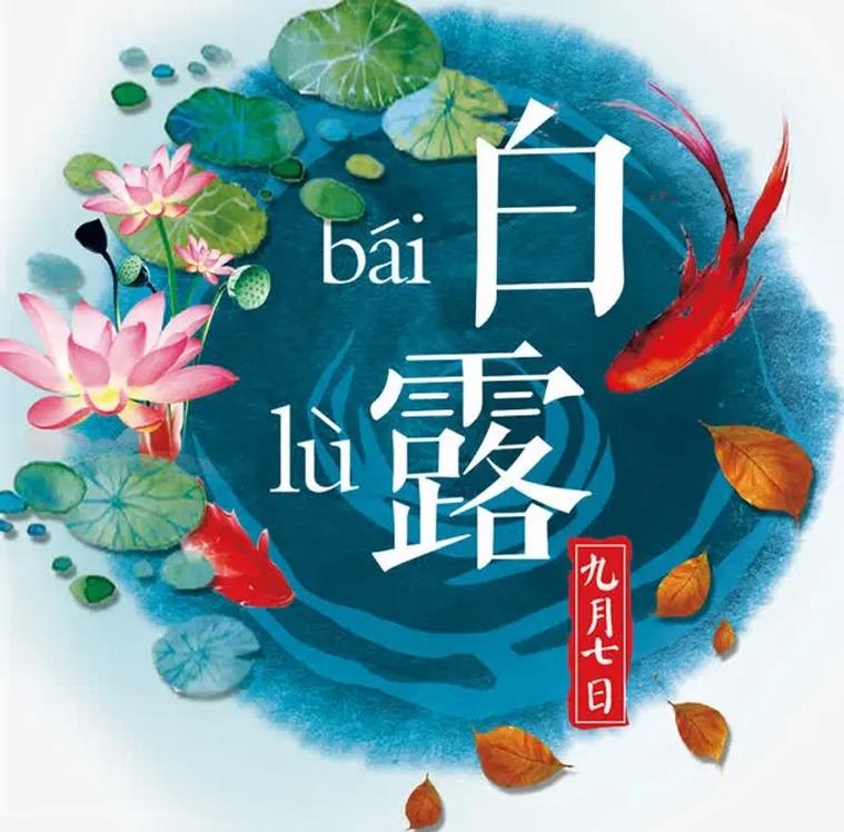 今天是9月7日星期三,白露节气.#上热门  - 抖音