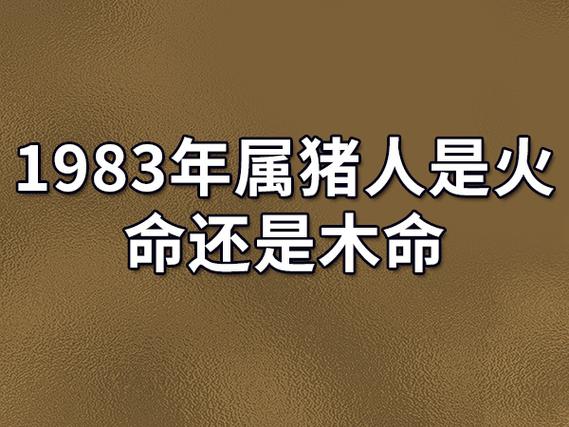 1983年属猪人是火命还是木命