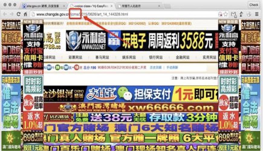 黑产抢注域名坑了百度百科 政府学校需注意网站安全