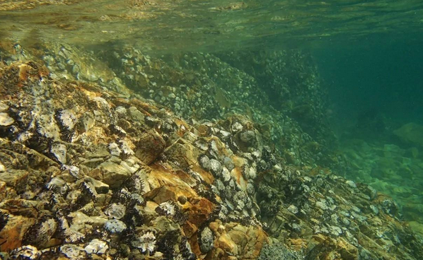 海枯石烂 海泡石产地在什么地方