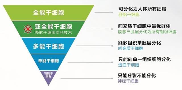 [熙黛课堂]干细胞技术——人类第三次医学革命的突破口!