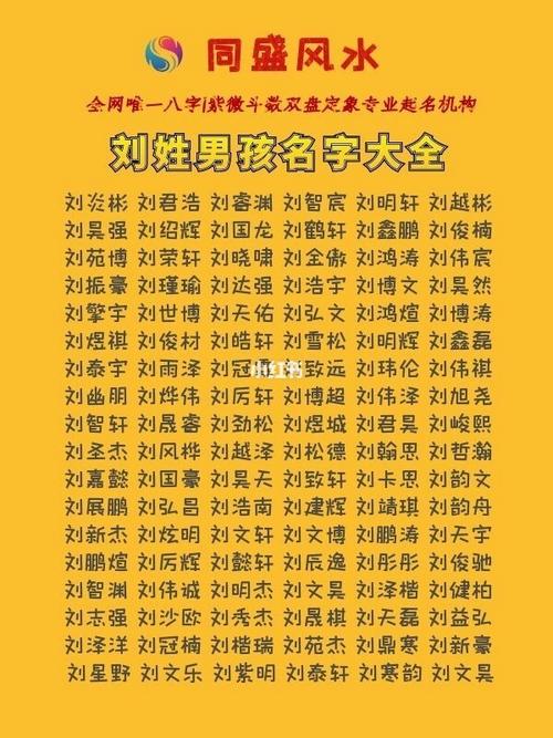 刘姓男宝宝取名大全,本文第一段给刘姓爸妈带来诗词的刘姓