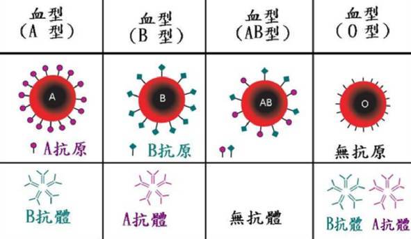 用唾液也能测血型?以后改吐口水认亲了?