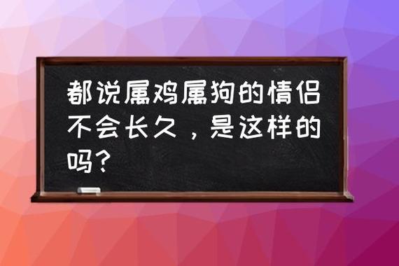 属狗的和属狗的一辈子的婚姻 都说属鸡属狗的情侣不会长久,是这样的吗