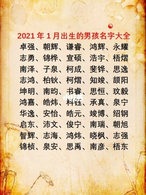 2023年一月出生的男孩名字大全 常用字单字_宝宝起名_月子会所_夏天去