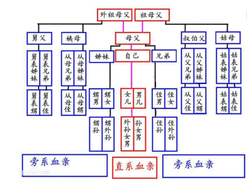 直系血亲和三代旁系血亲都包括哪些关系?