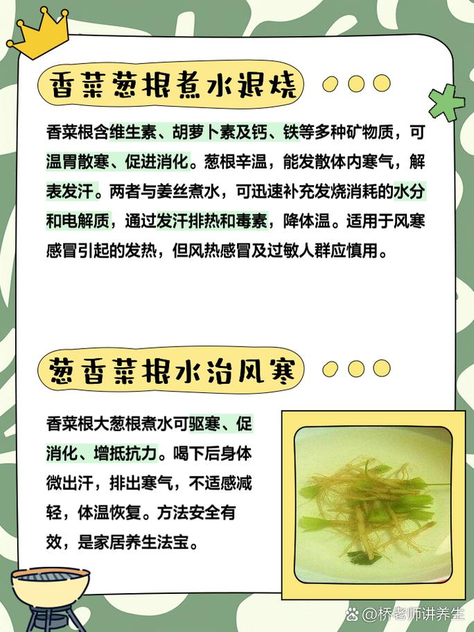 香菜根和葱根一起煮水的功效 姐妹们,你们知道吗?