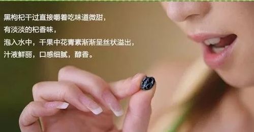 男性和女性吃黑枸杞的功效和作用_花青素