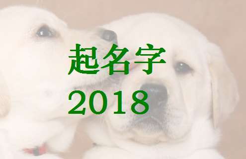 2023年狗宝宝的起名字大全蒋姓可爱的男孩