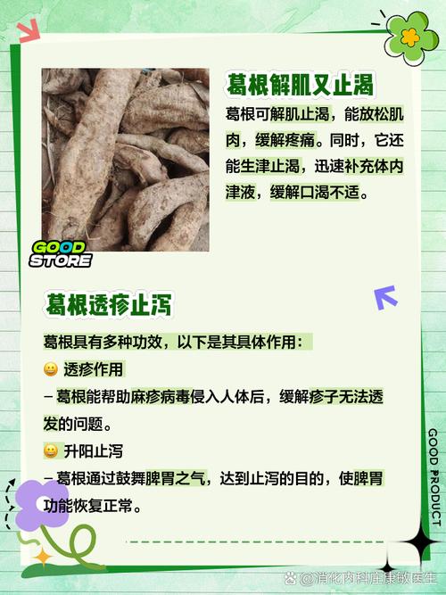 葛根的功效与作用的功能与主治