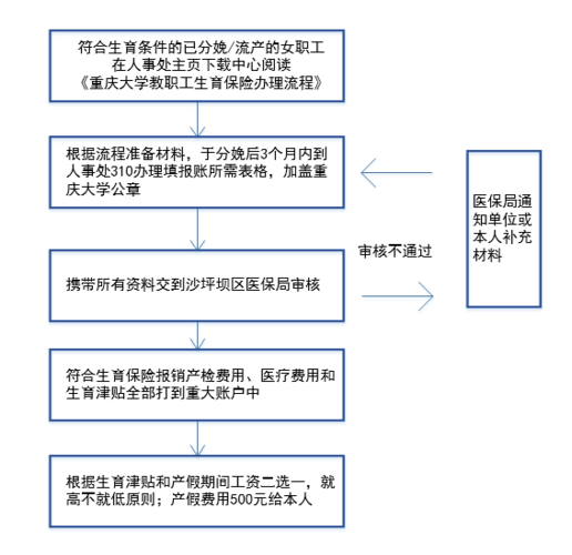 生育保险报销流程