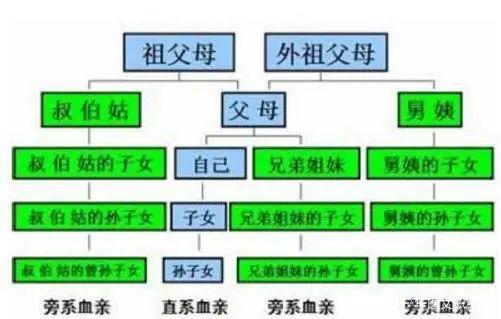 直系亲属就是父母,爷爷奶奶,外公外婆和子女.旁系亲属包括兄弟姐妹.