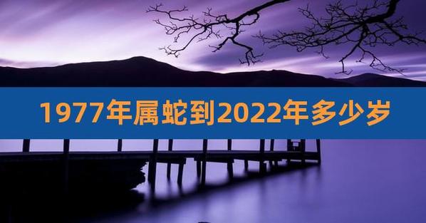 运势2023年运势77年属蛇2023年的运程生肖年龄对照表2023蛇年是哪几年