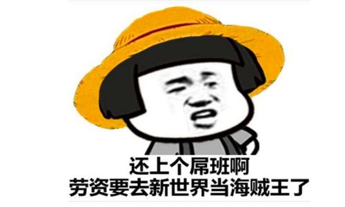 劳资是什么意思优质